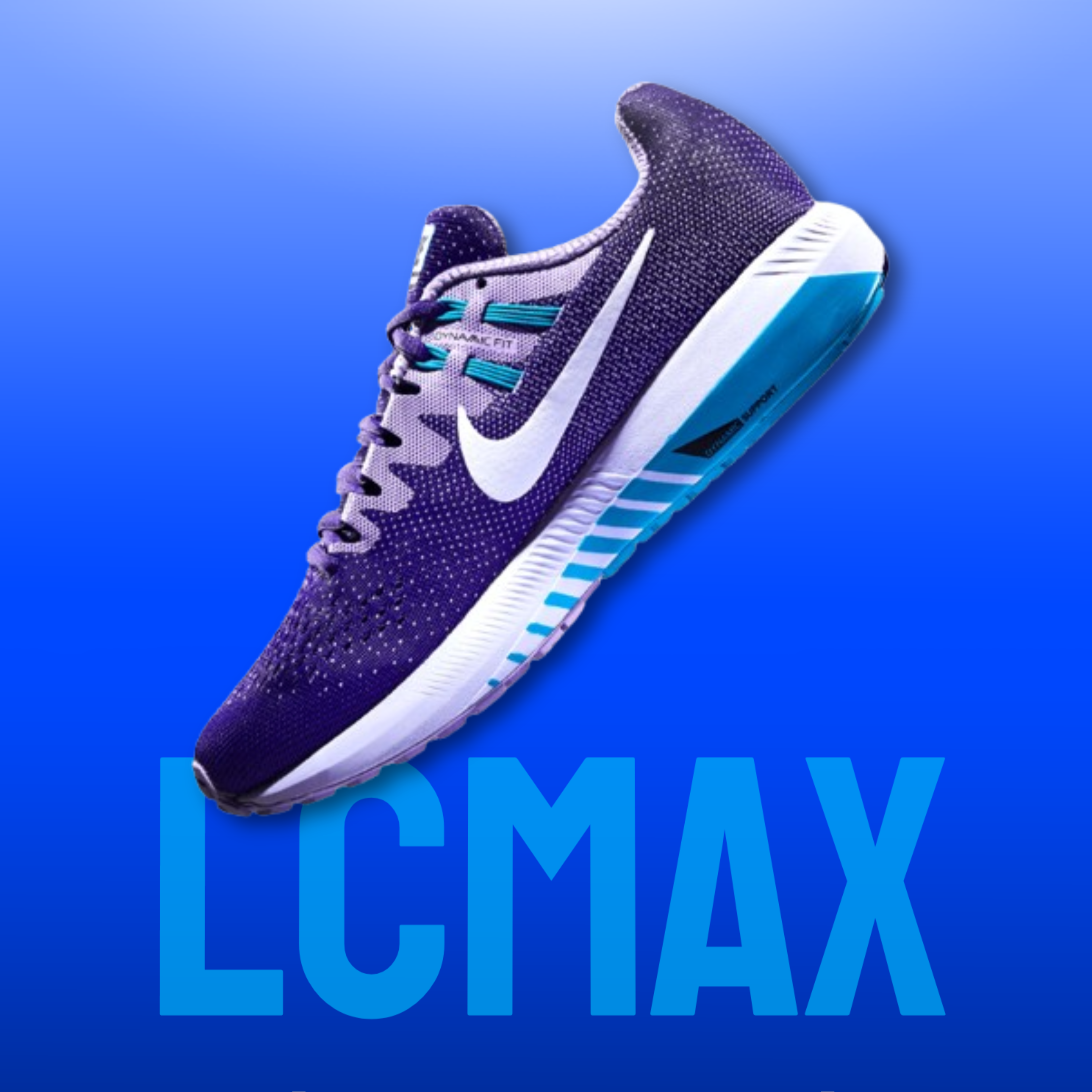 ال سی مکس   |   LCMAX